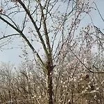 La Casa Del Daino 밀레시모