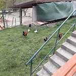 La Casa Del Daino