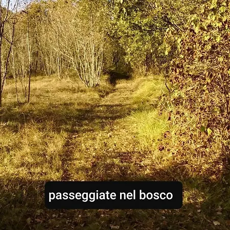 Bed & Breakfast La Casa Del Daino 3*