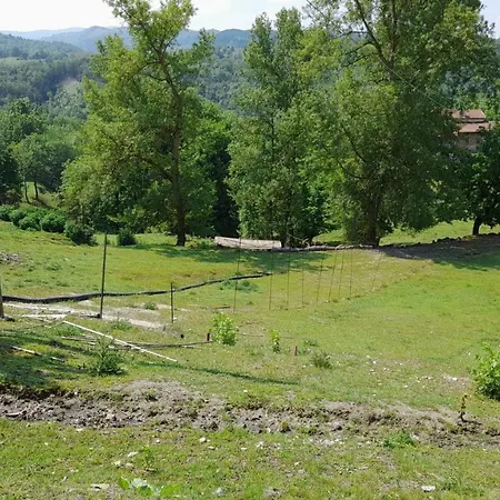 Bed & Breakfast La Casa Del Daino