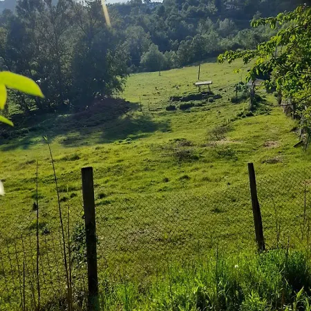 La Casa Del Daino Отель типа 