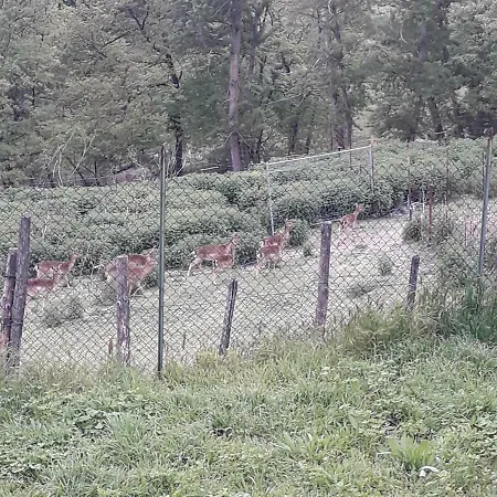 La Casa Del Daino Миллезимо