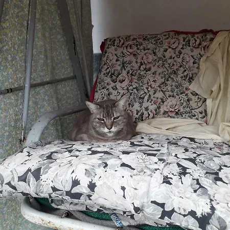 La Casa Del Daino Bed & Breakfast 3*