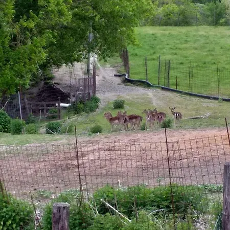 Bed & Breakfast La Casa Del Daino