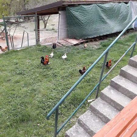 La Casa Del Daino