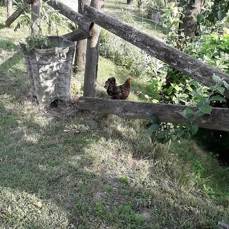 La Casa Del Daino Bed & Breakfast 3*