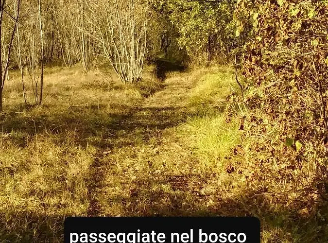 Bed and breakfast La Casa Del Daino 3*