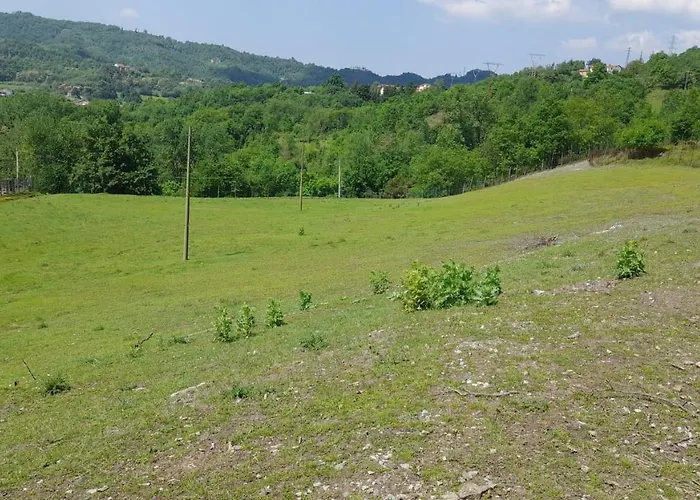 La Casa Del Daino 3* Millesimo