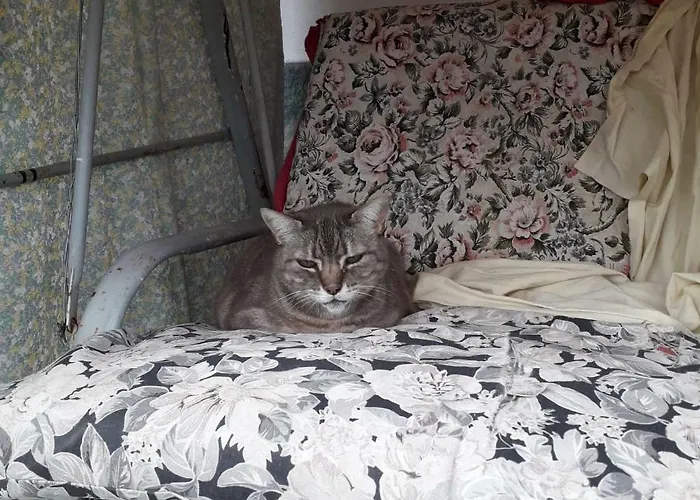 La Casa Del Daino Bed and breakfast 3*