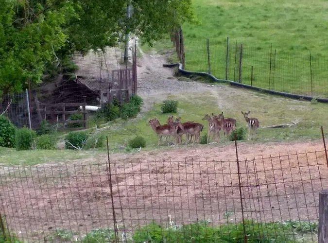 Bed and breakfast La Casa Del Daino