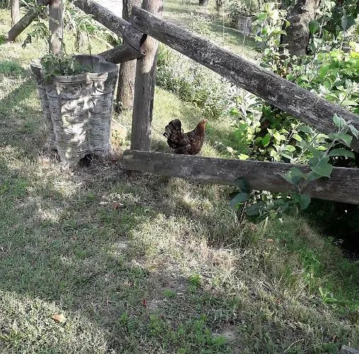 La Casa Del Daino Bed and breakfast 3*